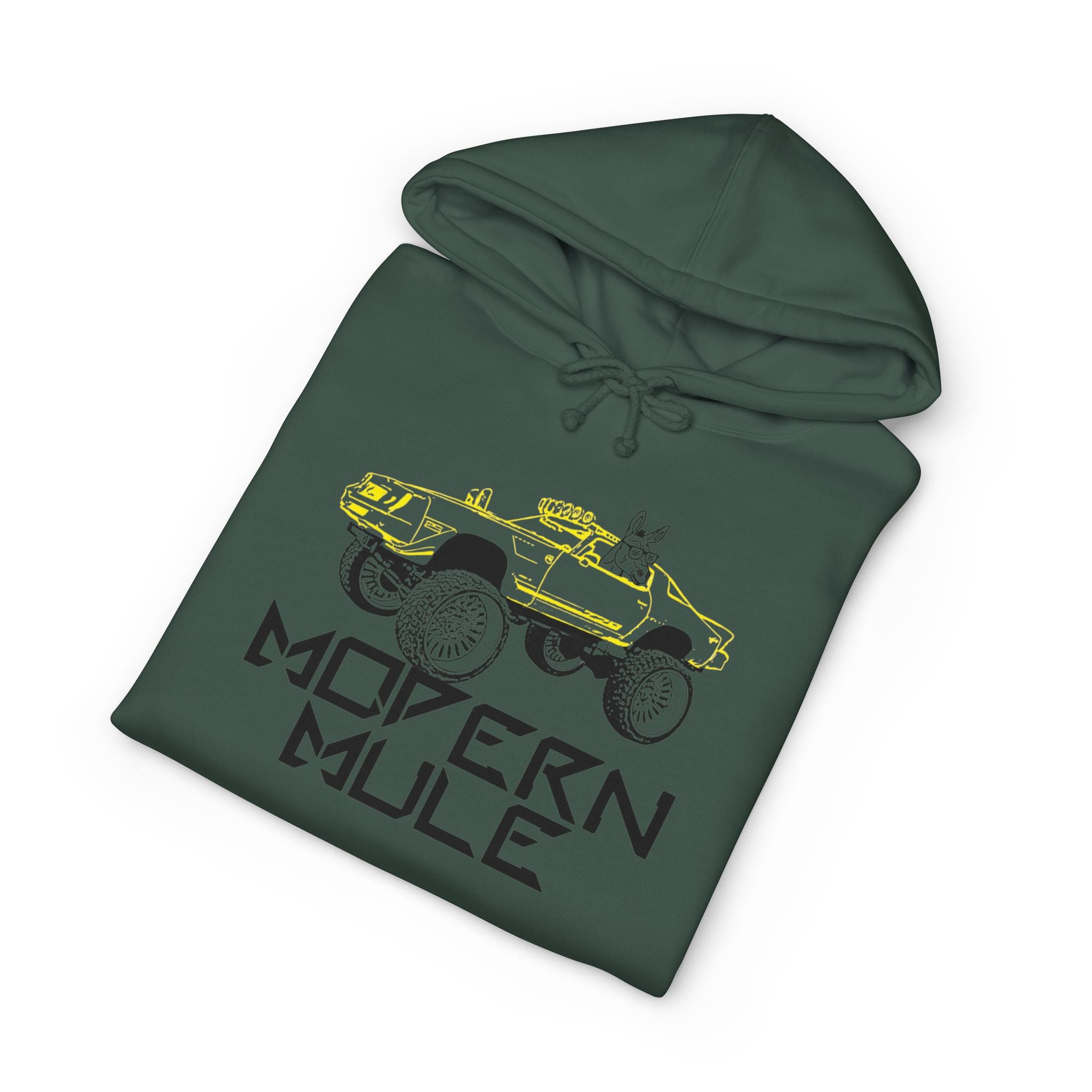 Funny 'Mule in the Camaro' Hoodie — Novelty Car Meme Sweatshirt