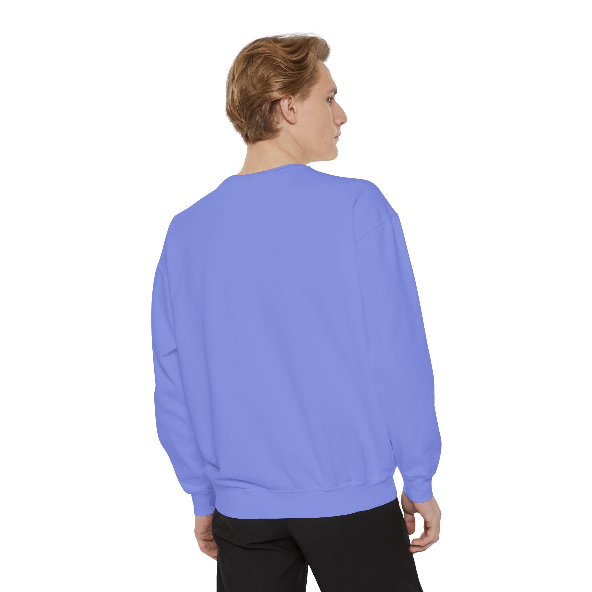 Modern Mule Sweatshirt — Funny Comfy Hoodie Design